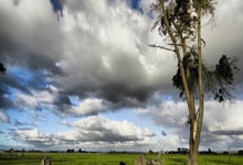 雷速体育：3月12日重庆冠军赛战报，22人晋级16强，奥运会.