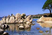 德保罗：我们代表的是一个热爱足球的国家，并未对任何人不敬.